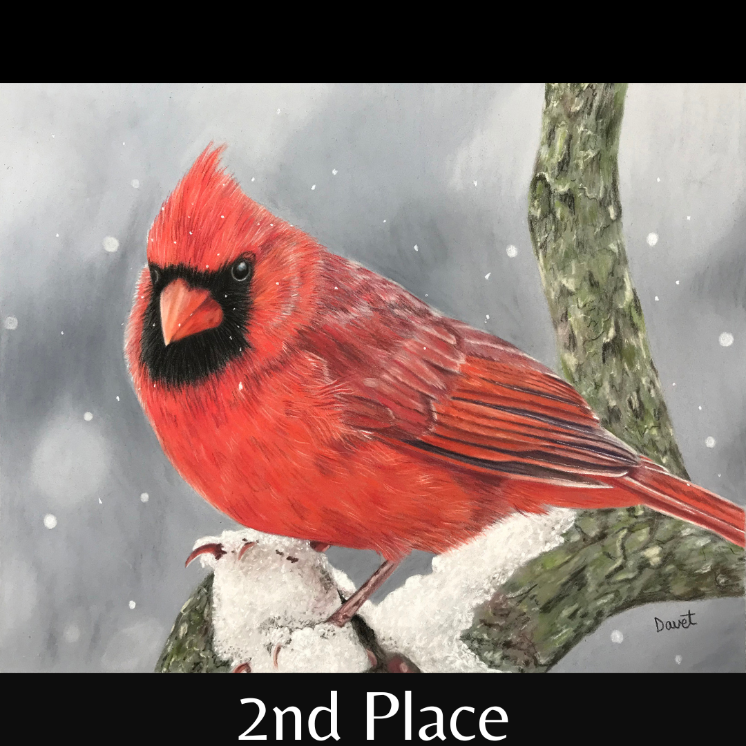 2nd Place Winner - Bridget Davet