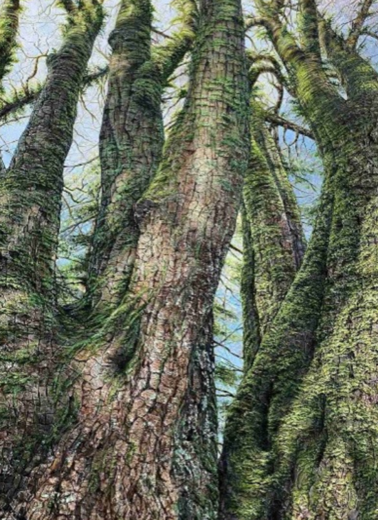 Honorable Mention: Chantal Bourque - Perception