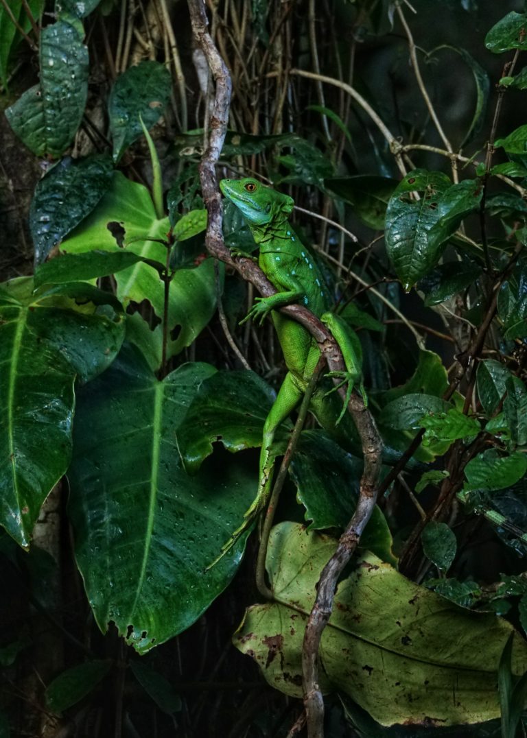 Honorable Mention Aitor Perez Erdozain