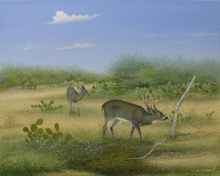 Honorable Mention Eleazar Herrera Old Fence Post