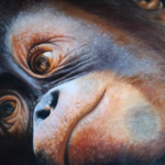 Best In Show Hope - Jane M Habgood