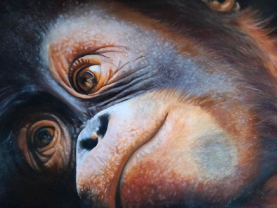 Best In Show Hope - Jane M Habgood