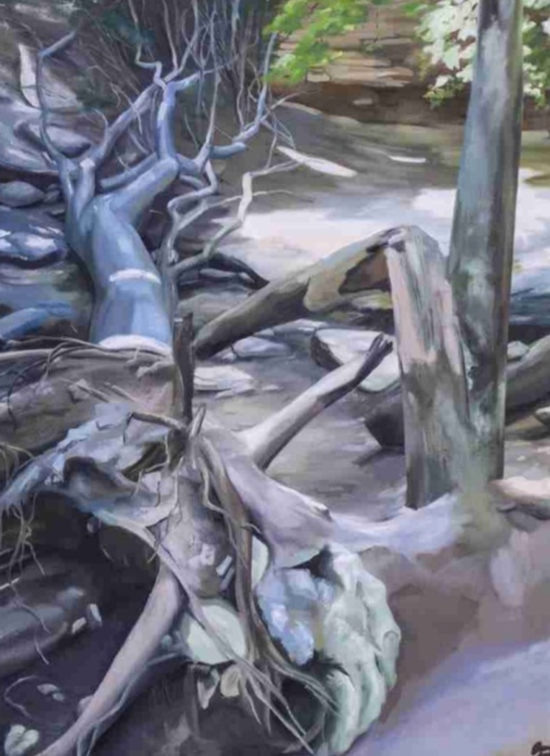 Best in Show- Justin McIntosh- Fallen Trees