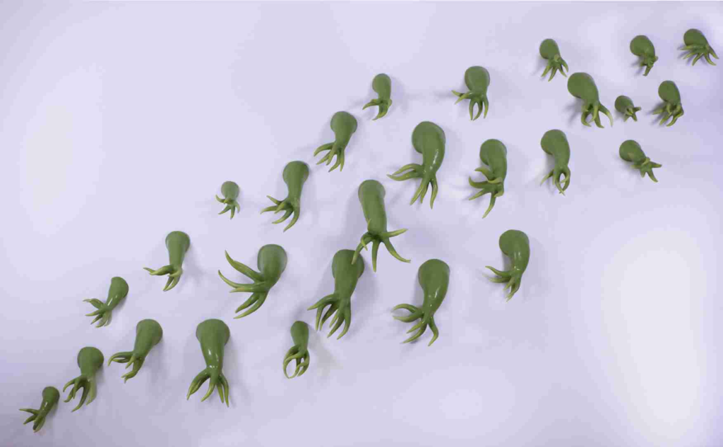 Honorable Mention: Nina Samuels - hydra