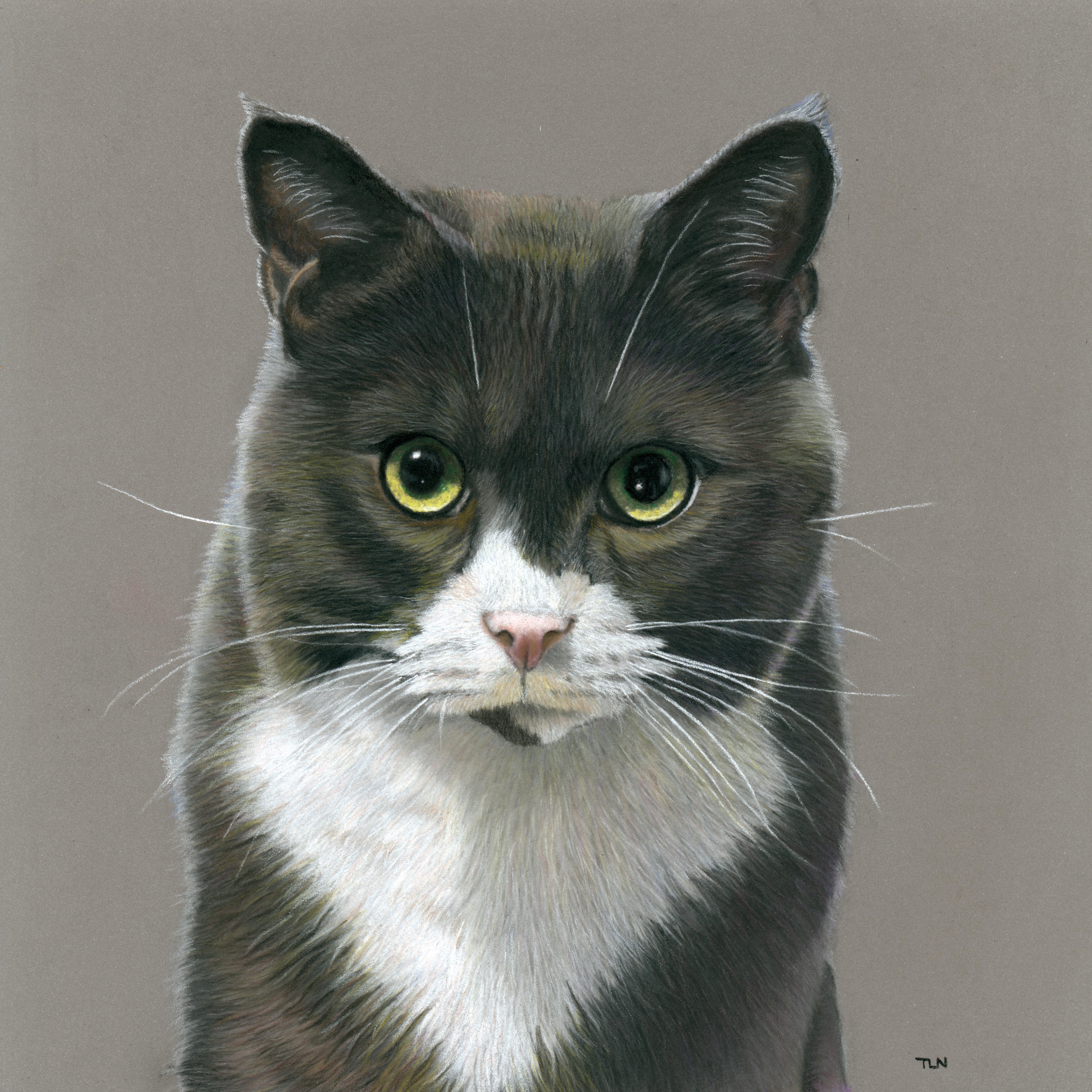 TaraNix_Glare_Pastels