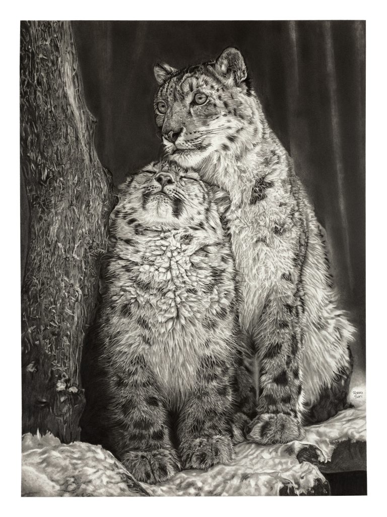 Graphite drawing of endangered large cat by Ratna Sari. Grand Prize Winners of the Blu Sky Artist Award at Ten Moir Gallery