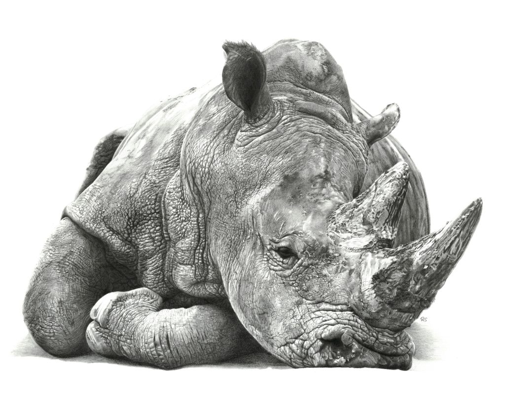 Ratna Sari - Risky Disposition