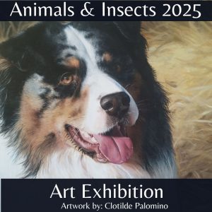 Animals and Insects 2025 Exhibition Photo