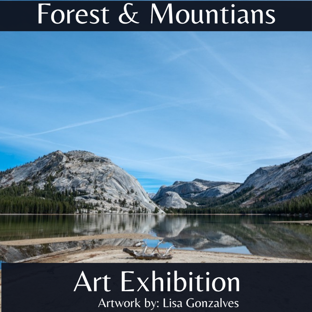 Forest & Mountians 2025 Exhibition Photo