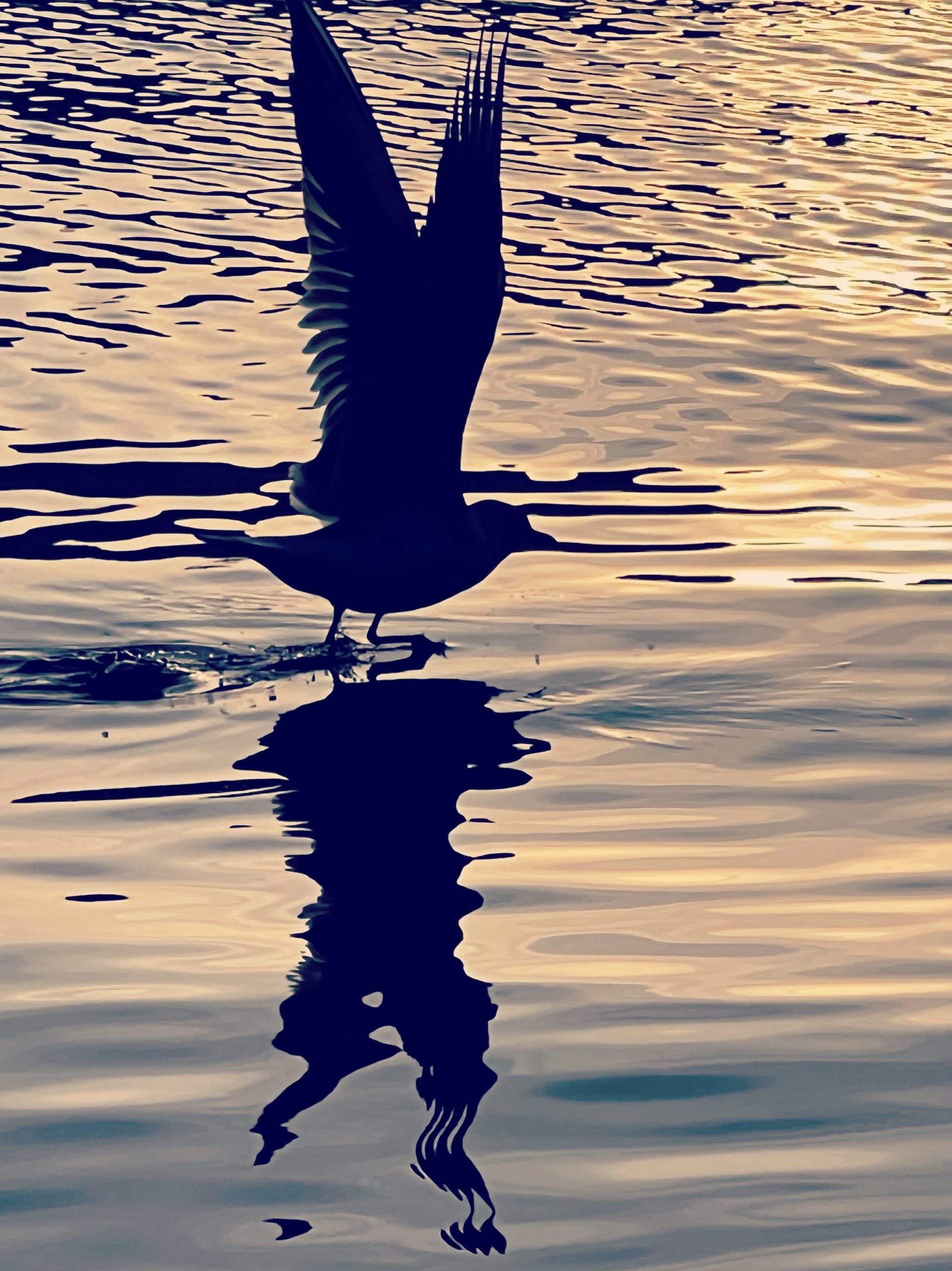 Brigitte B Burckhardt - Taking Off