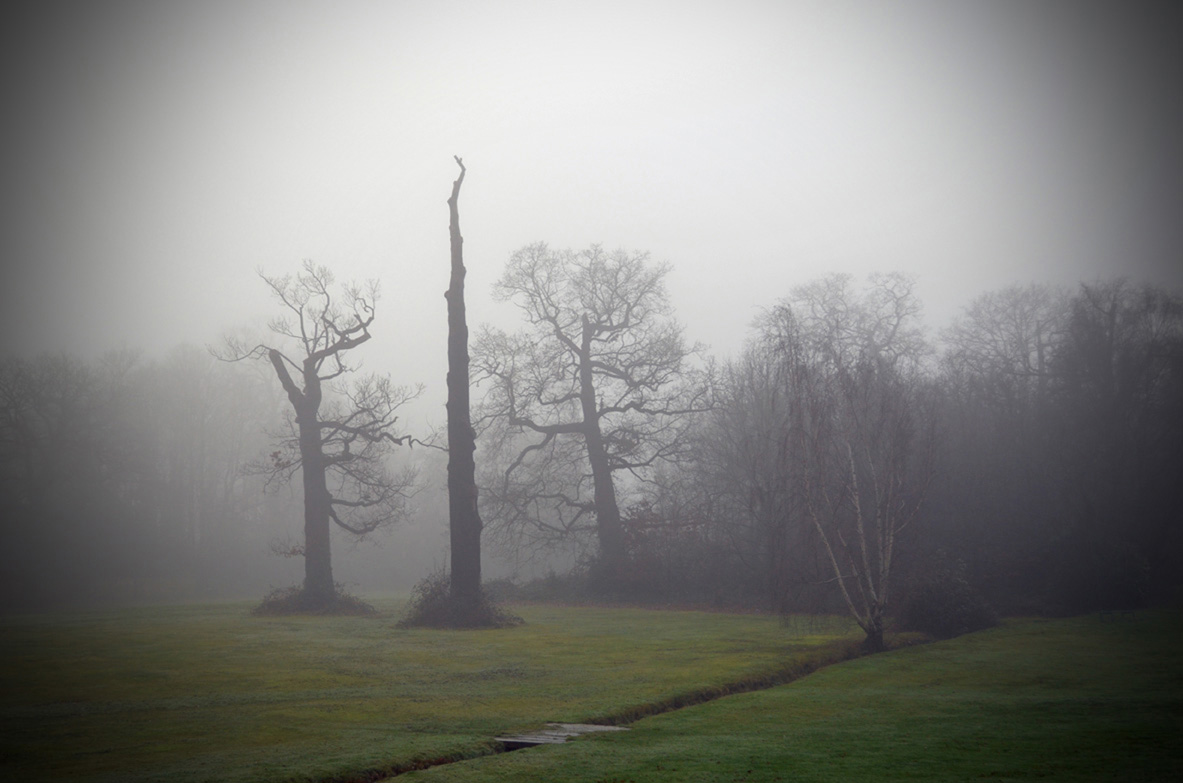 Debbie Jaye - Au-Delà du Brouillard