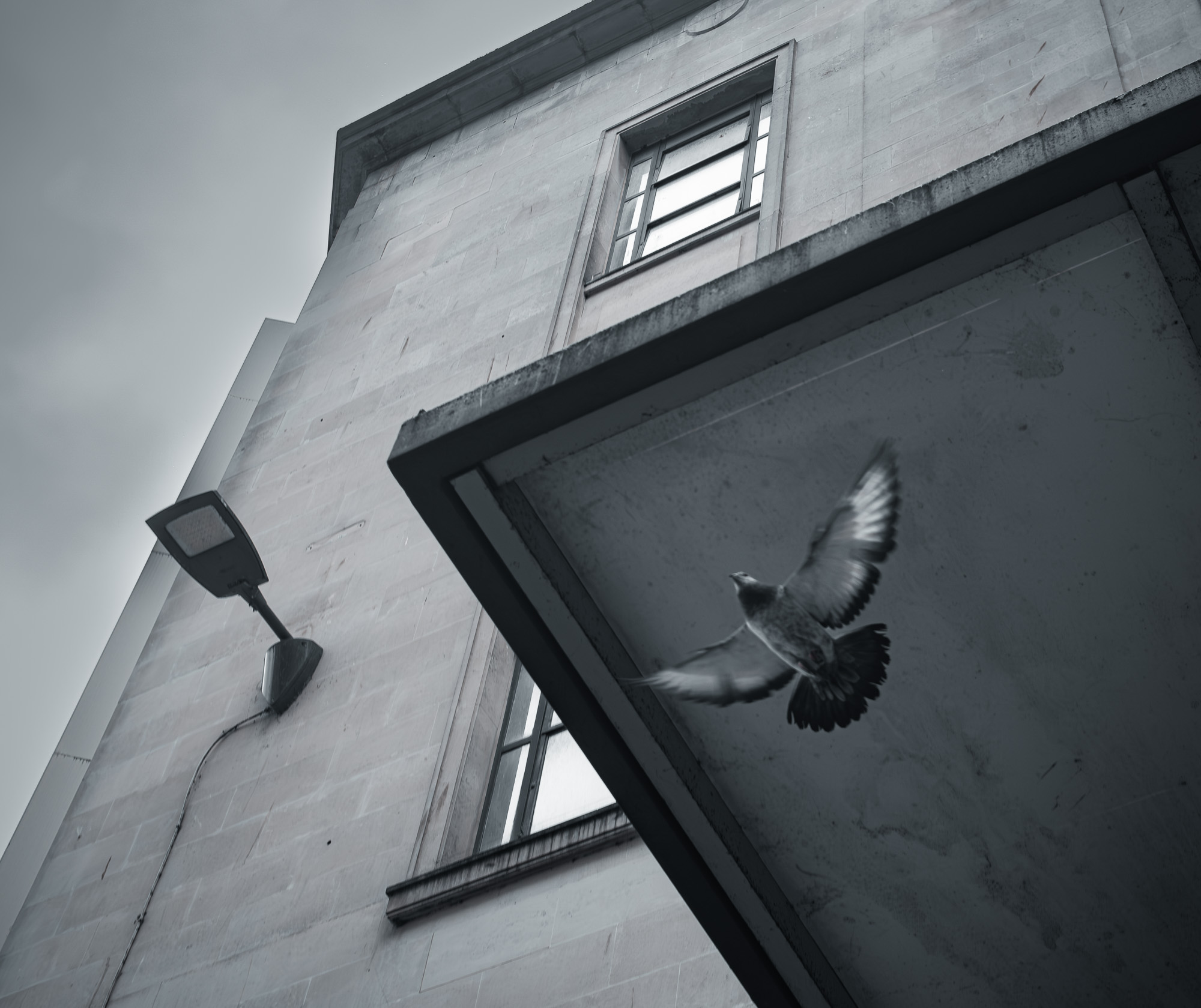 Julian Davies - Angles in Flight