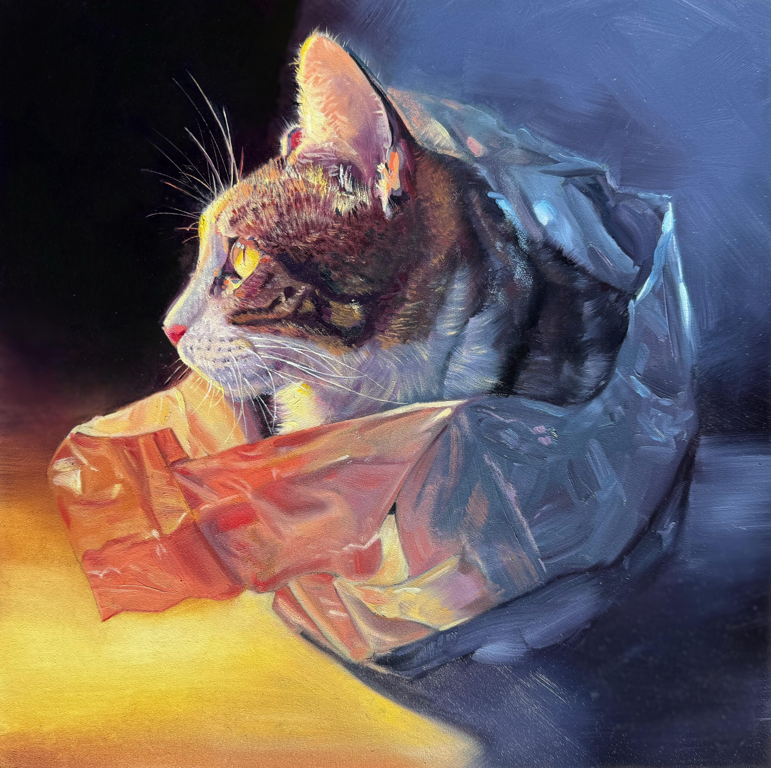 Michelle Delanty - Sheltered