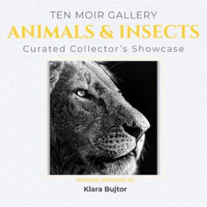 Animals and Insects 2026 Curated Collector's Showcase Promo image