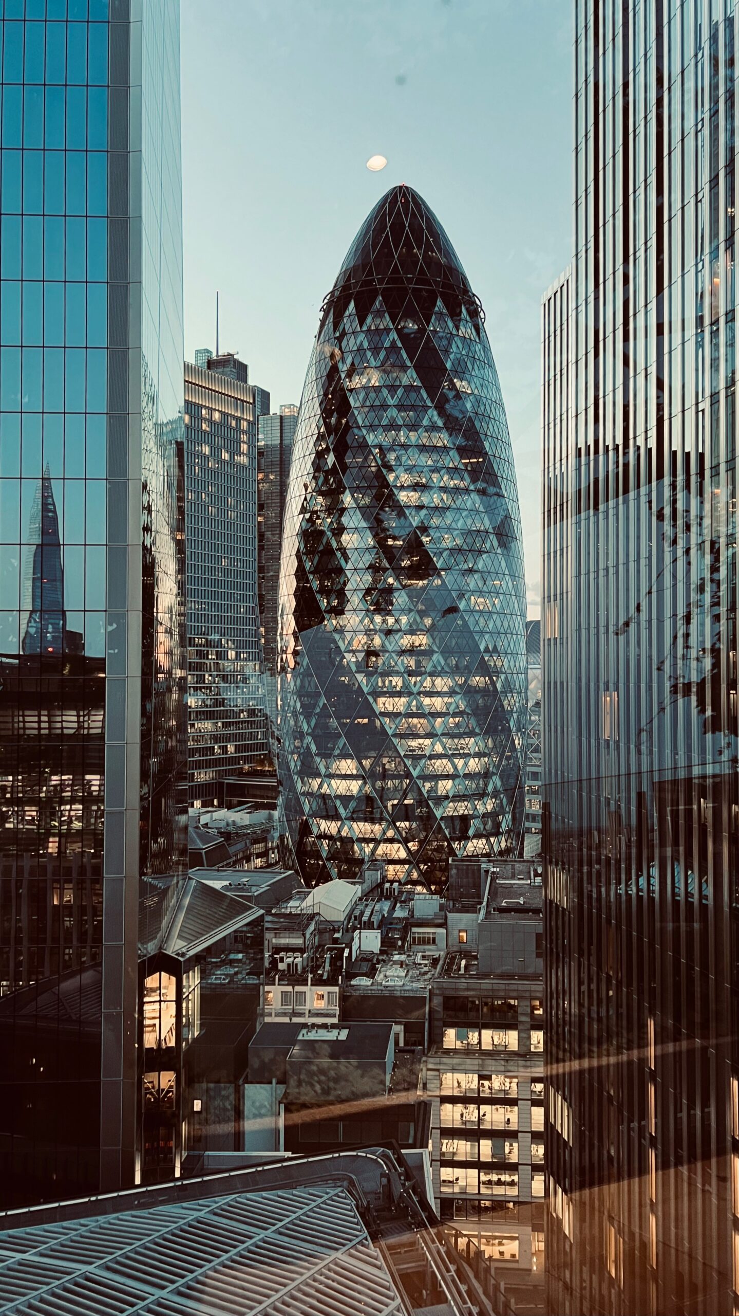Brigitte B Burckhardt  - The City
