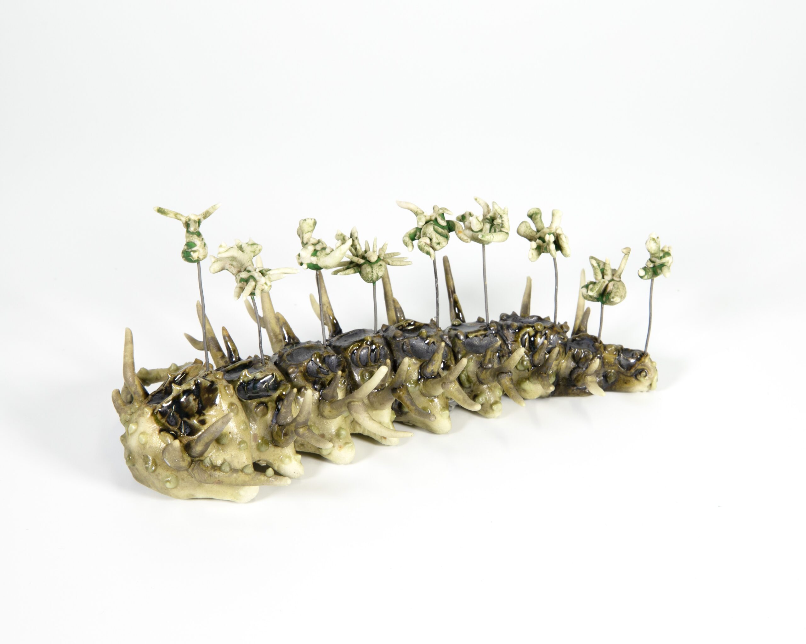 Tenaya DeWitt - Unidentified Worm