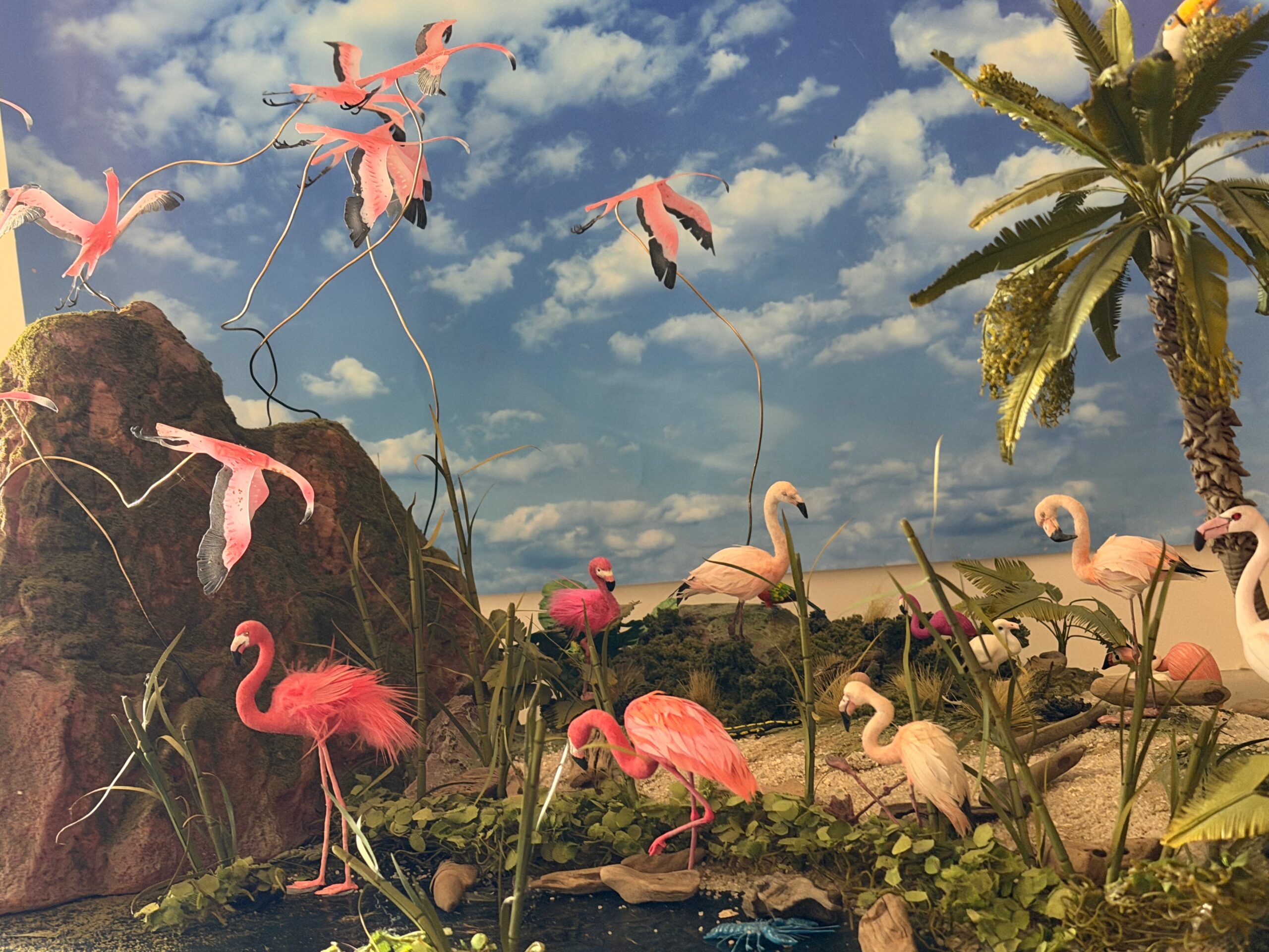 Julie Kelly - Flamingo Paradise