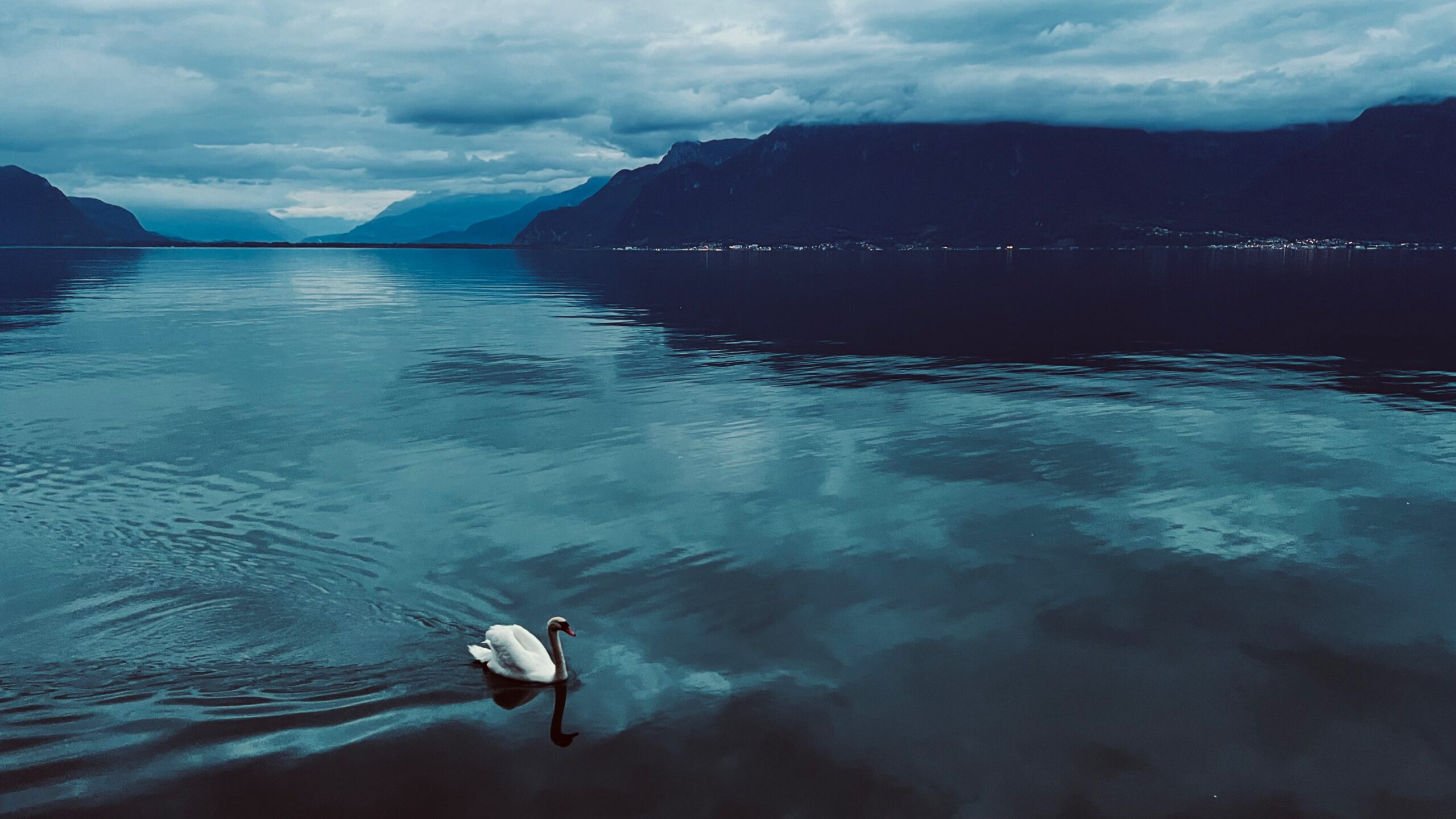 Brigitte B Burckhardt - Blue Hour