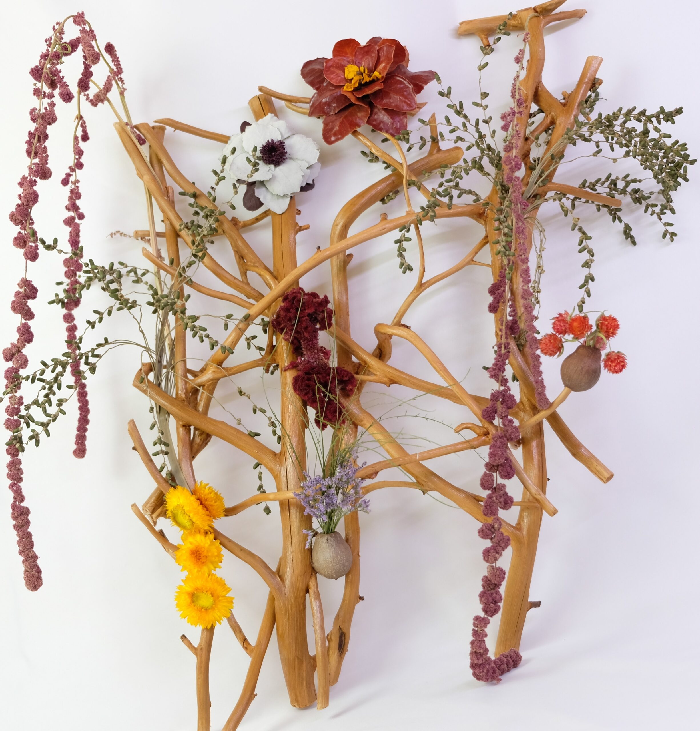 Claudia Averbuj - Interlaced Network
