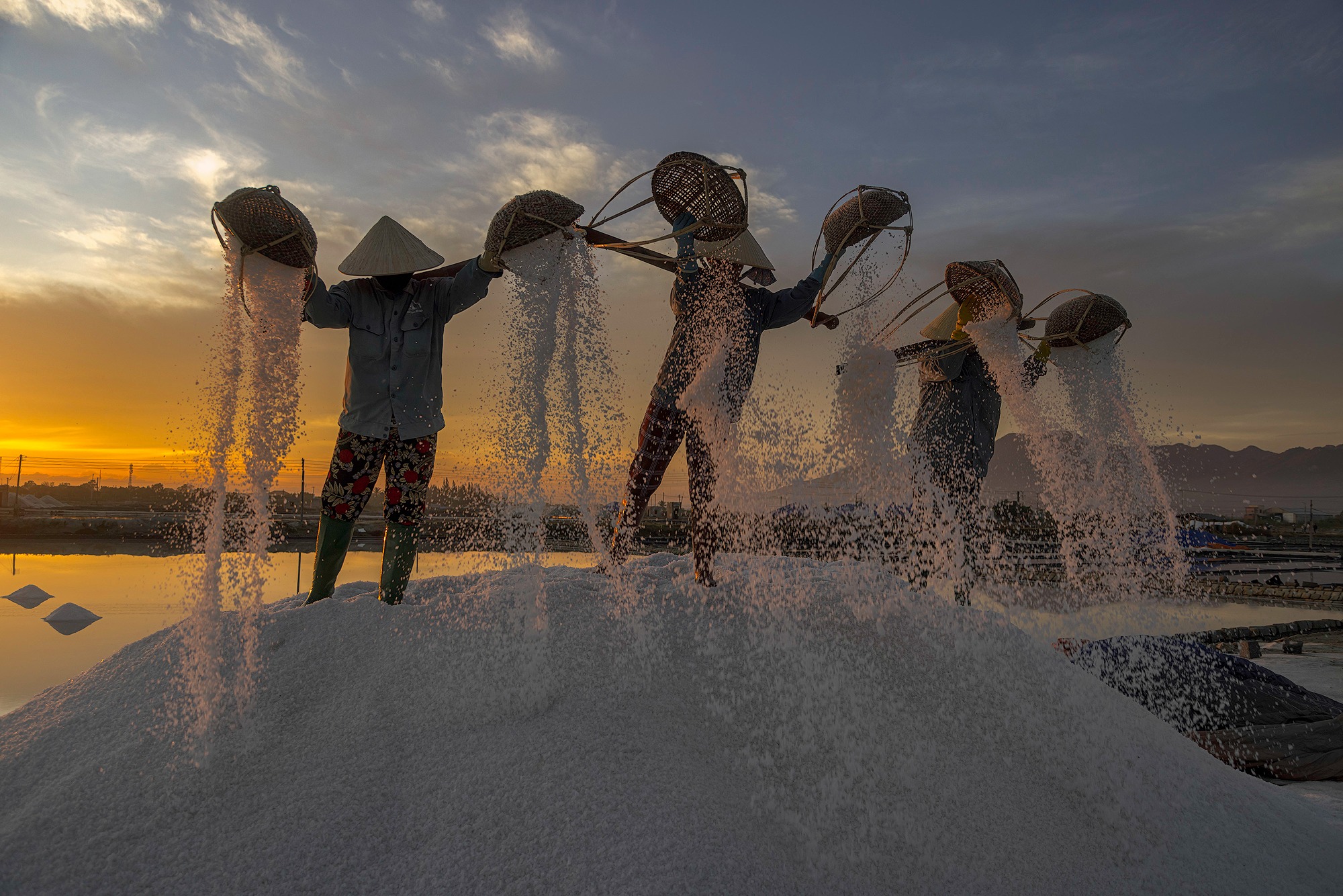 David Swainson - Salt Fields