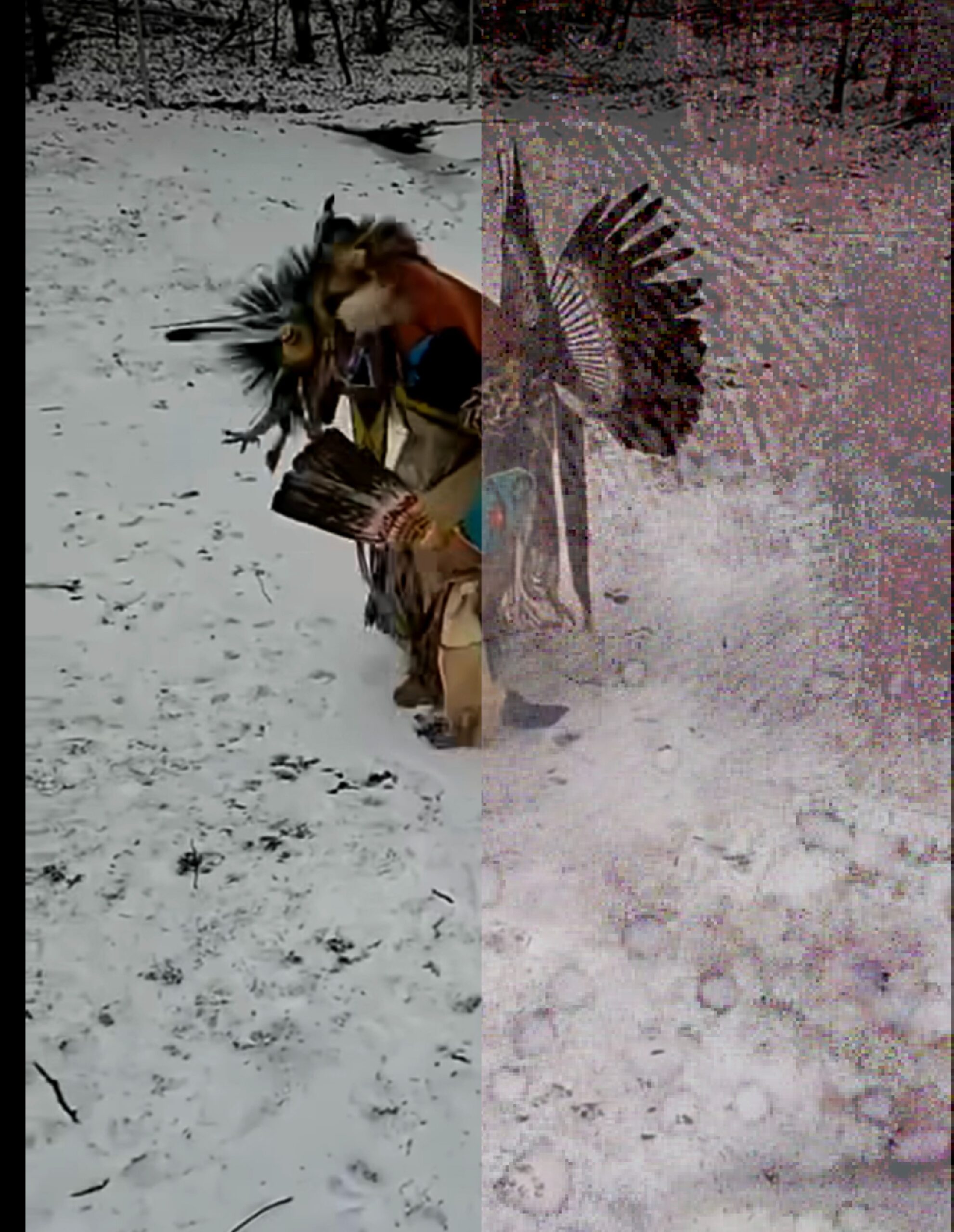 Teresa Camozzi - Pow Wow for the Earth 11