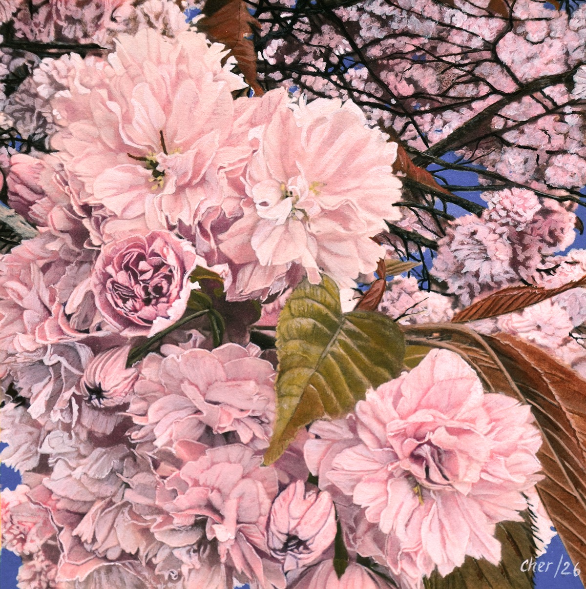 Cher Pruys - Kanzan Sakura