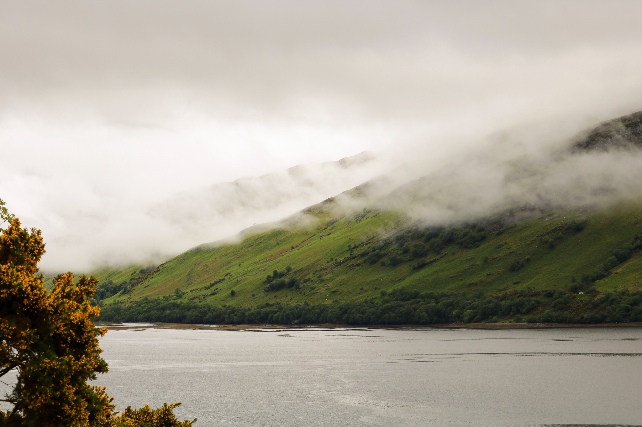 Matthew Spencer - Fog in Scotland
