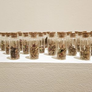 3D, NFS, https://www.instagram.com/filio_zoi_milioti/ Filio Zoi Milioti - Harvest ''Fall 2023''