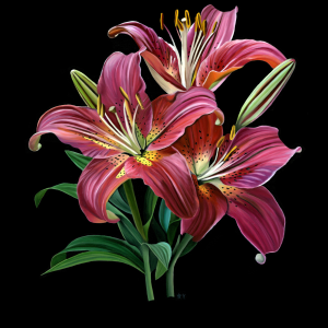 Anna Stark Stargazers
Oil on panel
600
www.artbyannastark.com Anna Stark - Stargazers