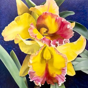 Oil on Canvas, $20,000, www.BestOrchidPaintings.com