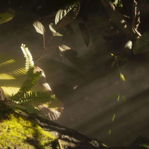 Photography, https://www.instagram.com/shuttereye.photos/