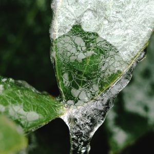 Digital Photography, 300, https://dhlomo.photography/