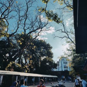 Phone, 70, https://www.instagram.com/ya0_m1ngg?igsh=MXN0NHBzemloZ3Ztdg==