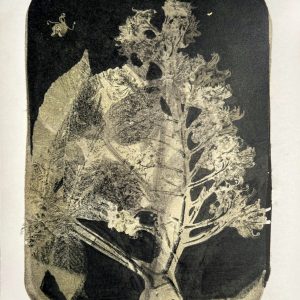 printmaking, transfer / 300$, https://www.instagram.com/maja.drawer/ Maja Gajic - "Botanical Rhapsody" series, Chestnut