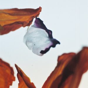 Liu Chun Chih
Leftover
digital photograph
https://www.artavita.com/artists/27747-chun-chih-liu Liu Chun Chih - Leftover