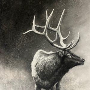 Michelle Weeks - Bull Elk