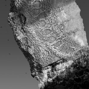 Adam Strange -Memorial Bench