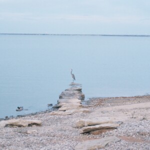 Amphone Xanouvong - Alone