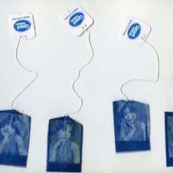 Ariana Sanchez - Ariana Sanchez - The Changes Within Yourself and Cyanotype Teabag