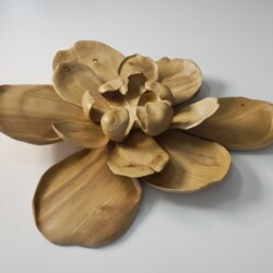 Chris Herakovic - Contemplation in Bloom, wood