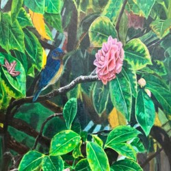 David Sailor - Sanctuary - Sanctuary (Acrylic on canvas)
