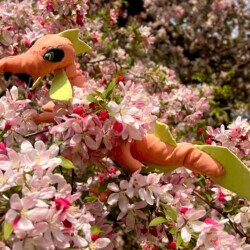 Dinosarden - Cassandra, soft sculpture