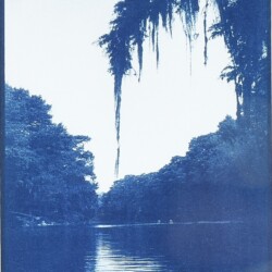 Emily Hensley Whitman - "Lower Guadalupe", cyanotype on paper