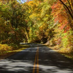 Hanna Houghton - Autumn on the Parkway, Photography