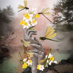 Kelly Ewing - Title: Memories Medium: Digital Collage