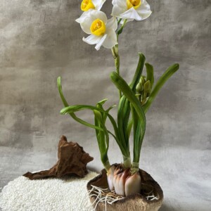 LIN ZHAO JUN - Title: A Garden with Narcissus Medium: Hand-sculpted clay narcissus / Hand-built ceramic vase / Epoxy resin / Driftwood / White sand