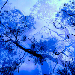 Leah Oates - Transitory Space, St. Johns, Newfoundland, Canada, Rene Mill # 11, Color Photography