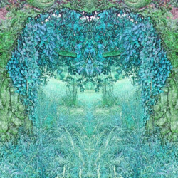 Michael Wagner - HIDDEN FORMS OF NATURE (THRONE)