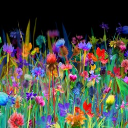 Natalie Hemkes - The Deep Meadow - Painted & photographic collage - Giclee on canvas