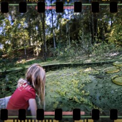Nikki Burke - Lily Pad Pond, 35mm film photograph, archival inkjet print